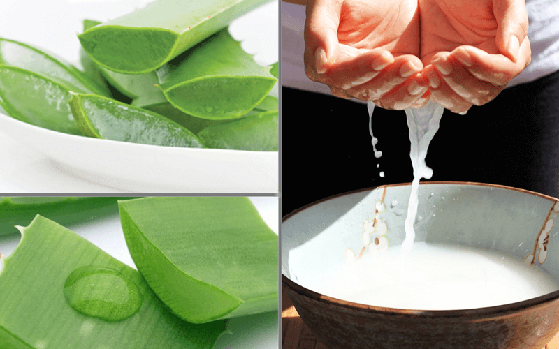 trị tàn nhang bằng nha đam và nước vo gạo